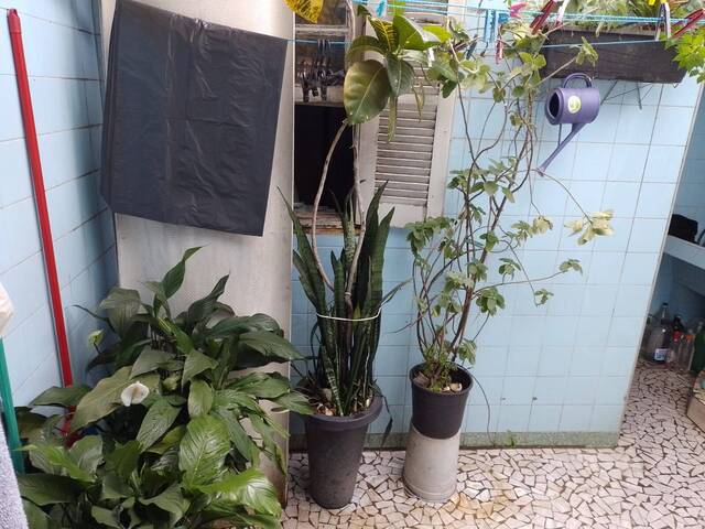 Casa para Venda em São Paulo - 5