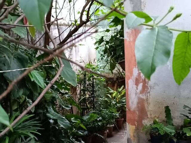 Casa para Venda em São Paulo - 5