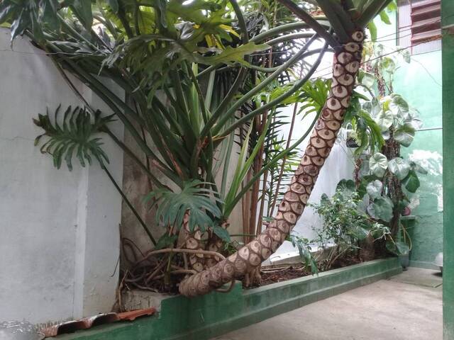 Venda em Casa Verde Média - São Paulo