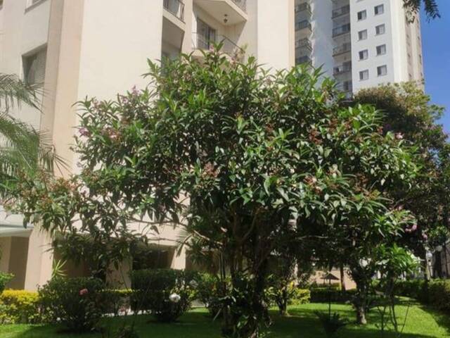 Venda em Vila Amélia - São Paulo